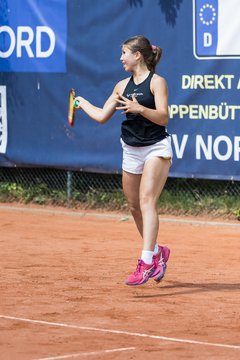 Bild 202 - Klipper Open